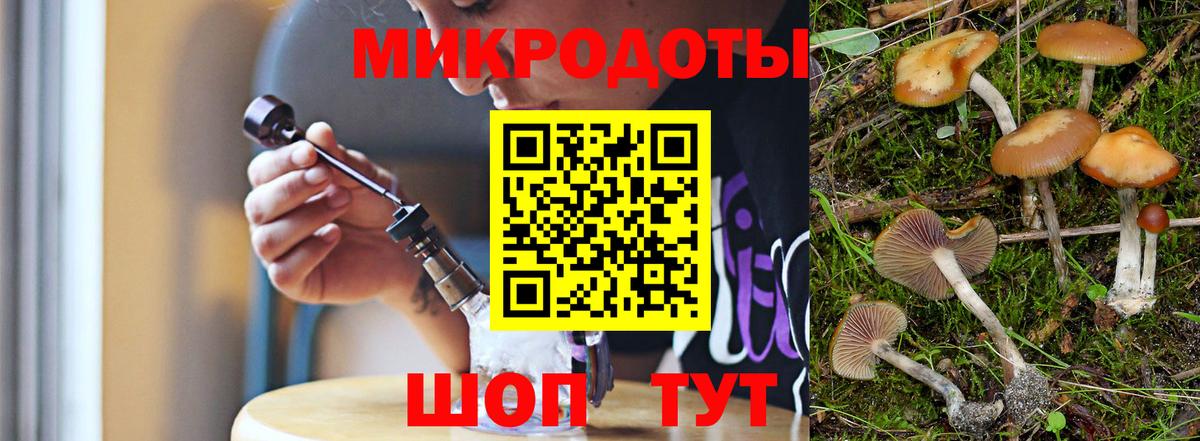 Галлюциногенные грибы Cubensis  Вход с VPN  Черкесск 